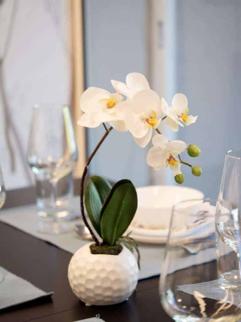 Orchidee und Gläser auf dem gedeckten Tisch im Friedbergtreff im Wohnpark Friedberg in Suhl